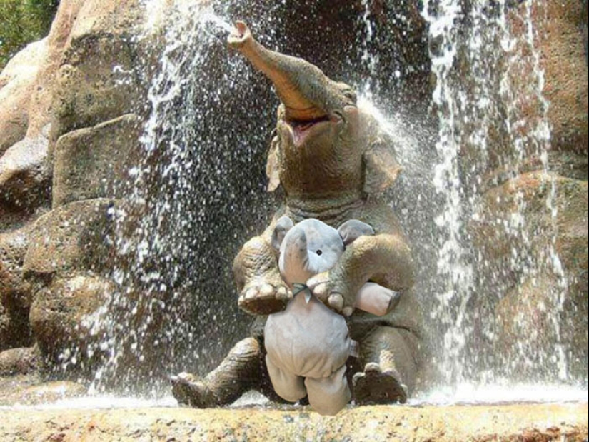 Un elefante de peluche perdido viaja por el mundo Un elefante de peluche perdido viaja por el mundo