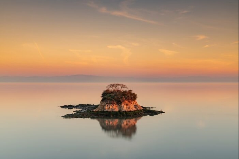 Una década de lo mejor de la naturaleza: 12 fotografías ganadoras de la categoría “Belleza de la naturaleza” de los premios Siena