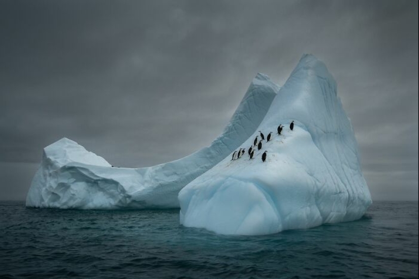 Una década de lo mejor de la naturaleza: 12 fotografías ganadoras de la categoría “Belleza de la naturaleza” de los premios Siena