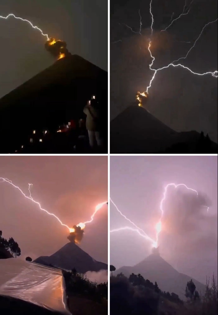 “Una vaca en el tejado”: 10 imágenes salvajes de la Madre Naturaleza haciendo las cosas a su manera “Una vaca en el tejado”: 10 imágenes salvajes de la Madre Naturaleza haciendo las cosas a su manera