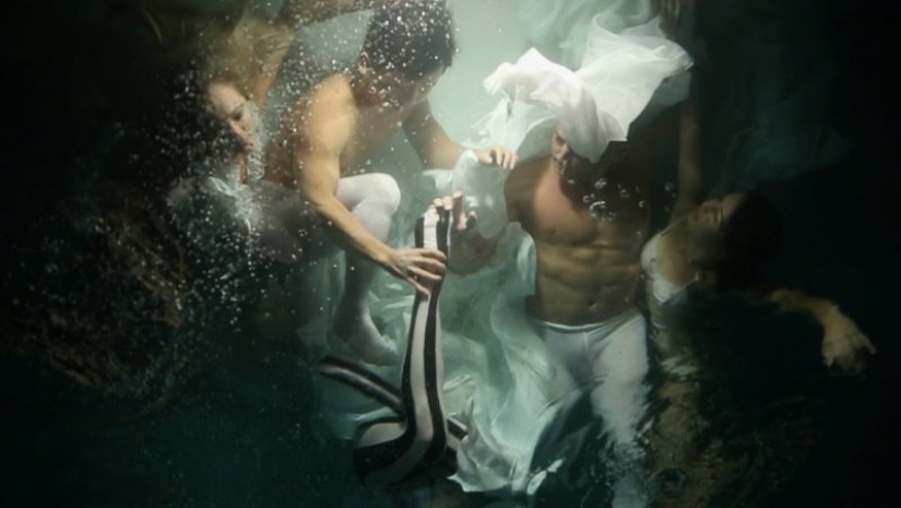 Underwater Baroque by Christy Lee Rogers