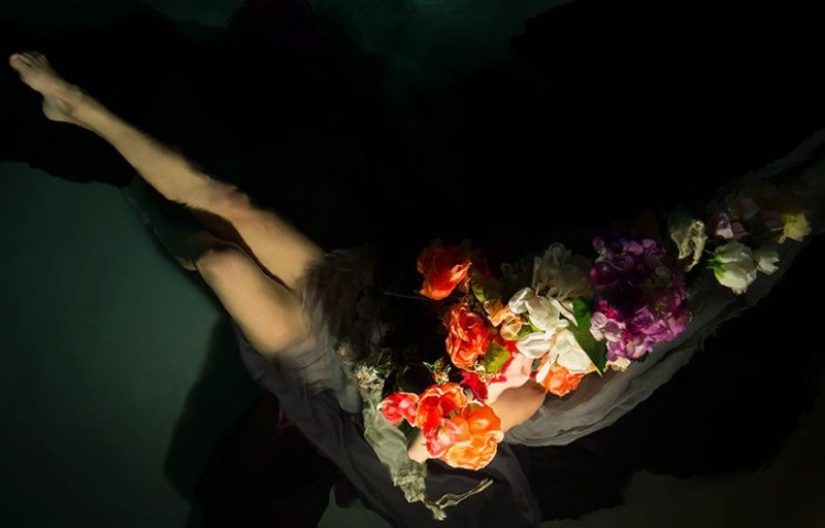 Underwater Baroque by Christy Lee Rogers
