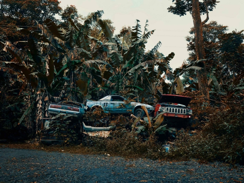 Vehículos abandonados en el Hawaiano de la selva: un proyecto fotográfico de Tomás Strigelsky Vehículos abandonados en el Hawaiano de la selva: un proyecto fotográfico de Tomás Strigelsky