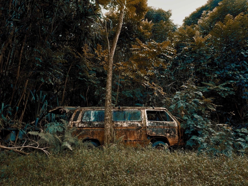 Vehículos abandonados en el Hawaiano de la selva: un proyecto fotográfico de Tomás Strigelsky Vehículos abandonados en el Hawaiano de la selva: un proyecto fotográfico de Tomás Strigelsky