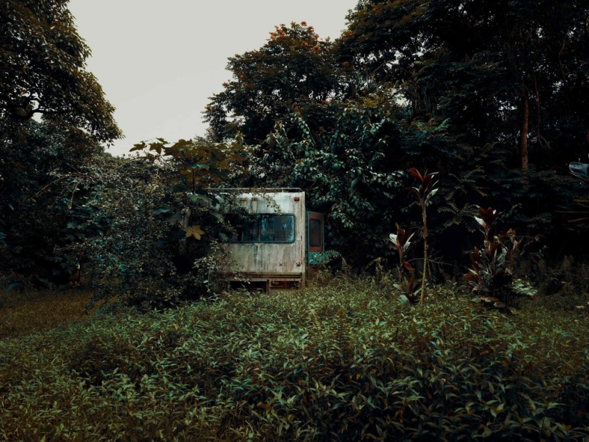 Vehículos abandonados en el Hawaiano de la selva: un proyecto fotográfico de Tomás Strigelsky Vehículos abandonados en el Hawaiano de la selva: un proyecto fotográfico de Tomás Strigelsky