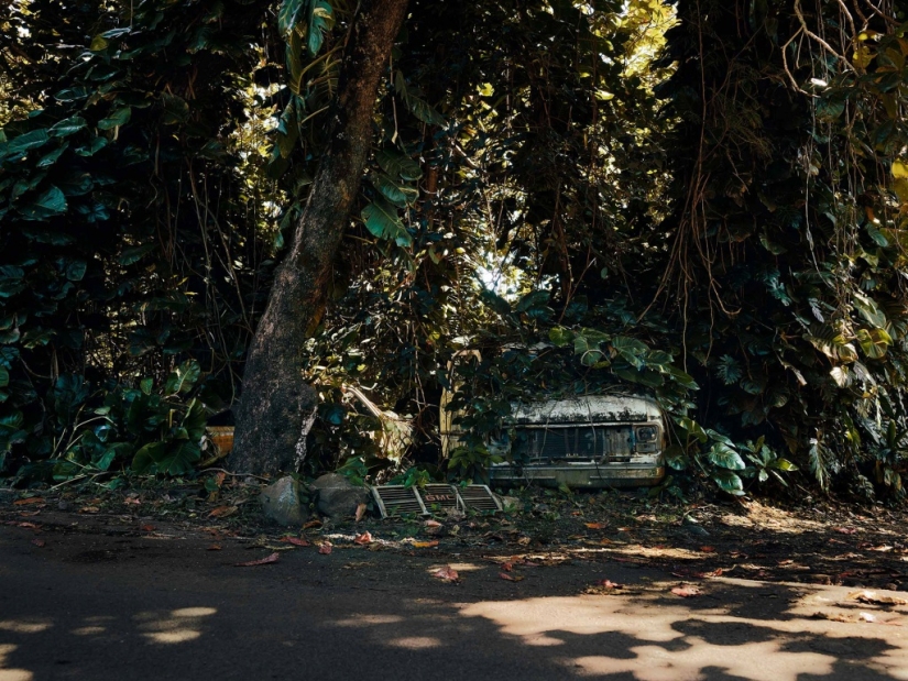 Vehículos abandonados en el Hawaiano de la selva: un proyecto fotográfico de Tomás Strigelsky Vehículos abandonados en el Hawaiano de la selva: un proyecto fotográfico de Tomás Strigelsky
