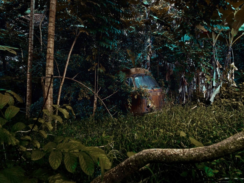 Vehículos abandonados en el Hawaiano de la selva: un proyecto fotográfico de Tomás Strigelsky Vehículos abandonados en el Hawaiano de la selva: un proyecto fotográfico de Tomás Strigelsky