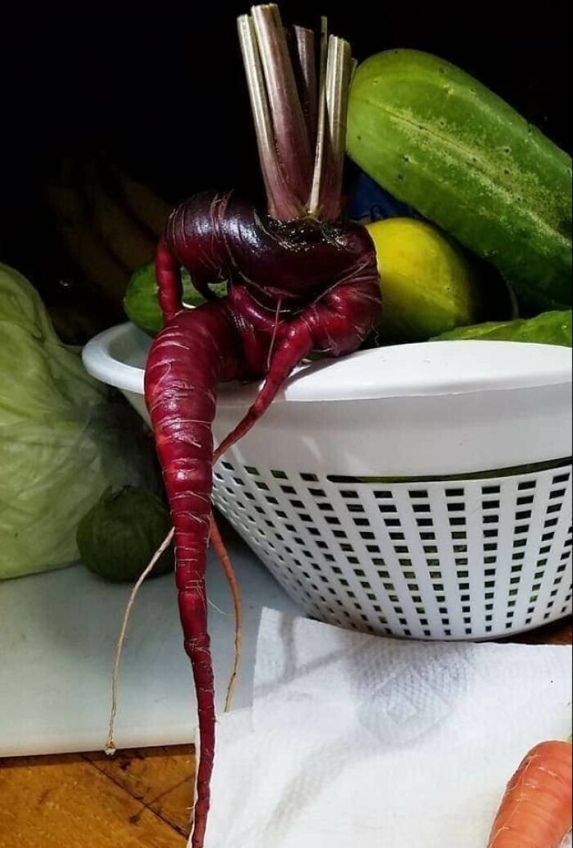 "Veo caras": más de 20 fotos engañosas que tendrás que mirar dos veces "Veo caras": más de 20 fotos engañosas que tendrás que mirar dos veces