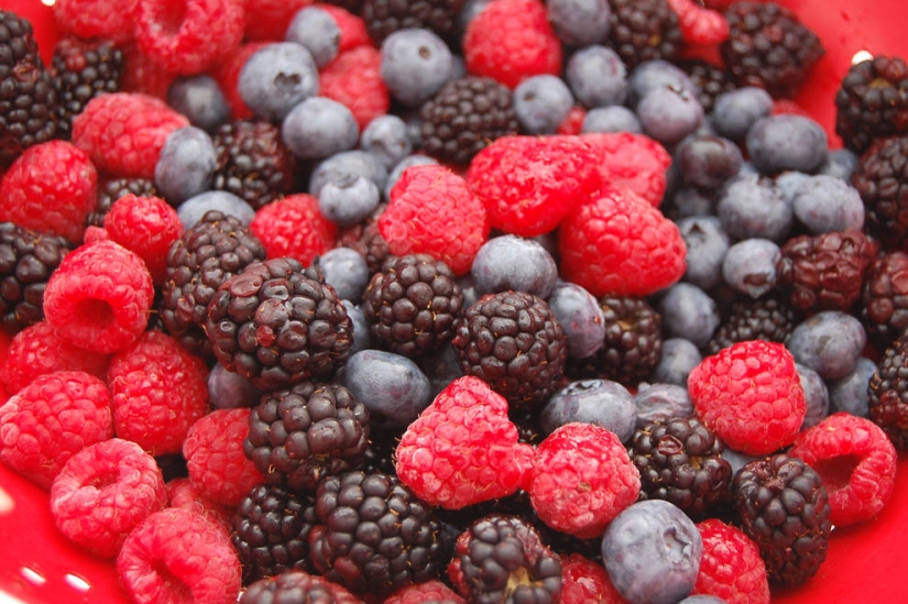 Viking diet — food with a Nordic character Viking diet — food with a Nordic character