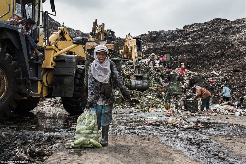 "Vile world": how 3,000 families with children live in a huge landfill "Vile world": how 3,000 families with children live in a huge landfill