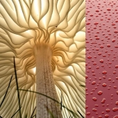 Visual pleasure: 22 photos where everything is perfect Visual pleasure: 22 photos where everything is perfect