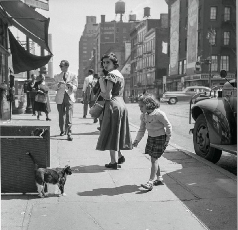 Walter Chandoha es un hombre que ha estado fotografiando gatos durante 70 años