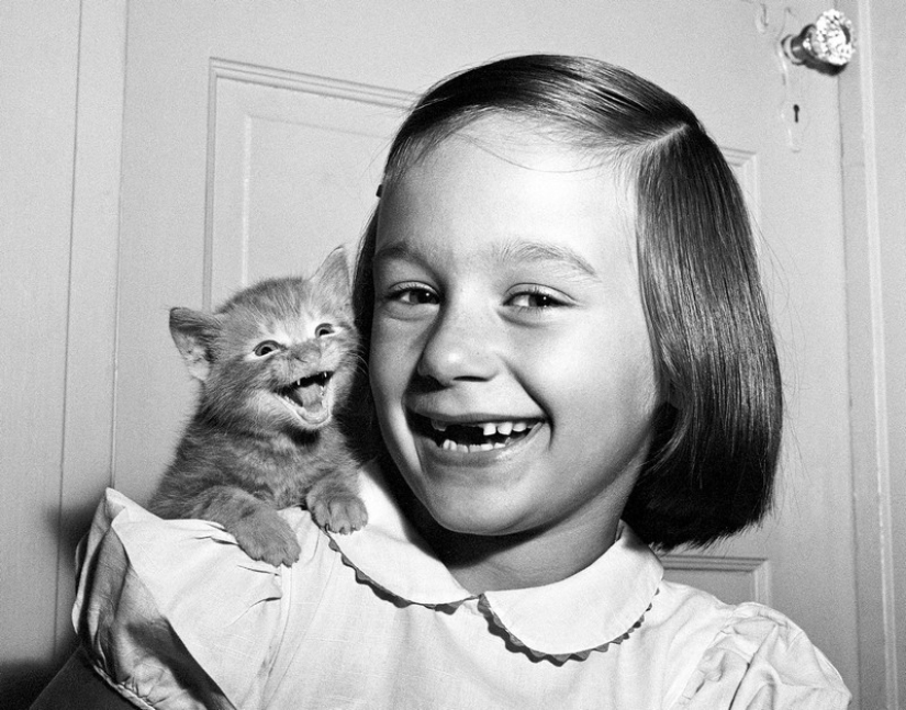 Walter Chandoha is a man who has been photographing cats for 70 years