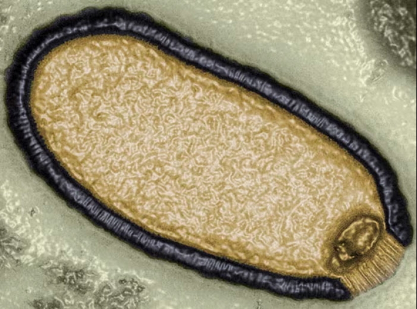 “We Face A Tangible Threat”: Scientists Speak About “Zombie Viruses” That Could Spark Pandemic