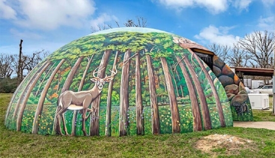 What does an underground house in Texas worth two million dollars look like
