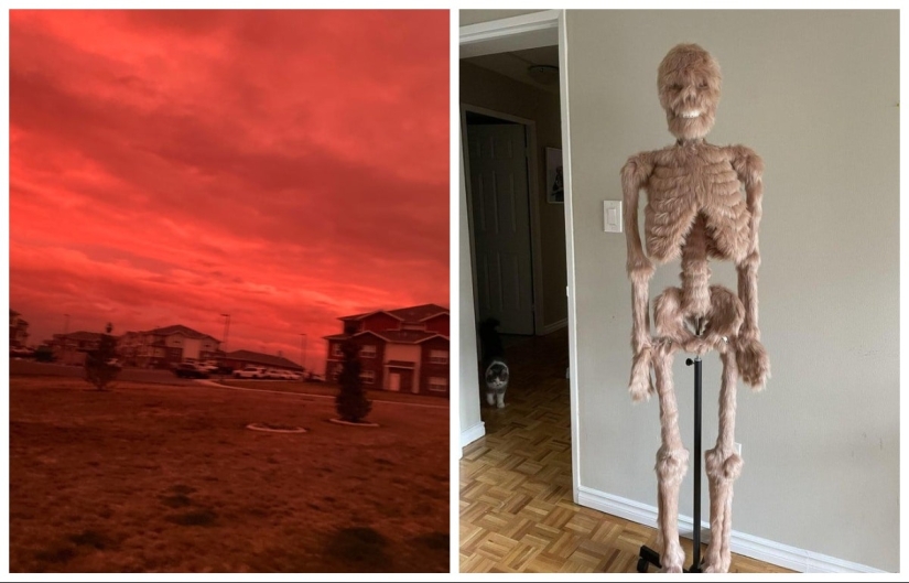 "What is this..?": 22 photos of things that caused people a lot of confusion "What is this..?": 22 photos of things that caused people a lot of confusion