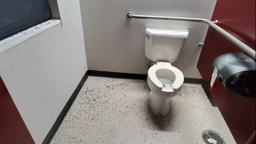 "What is this..?": 22 photos of things that caused people a lot of confusion "What is this..?": 22 photos of things that caused people a lot of confusion