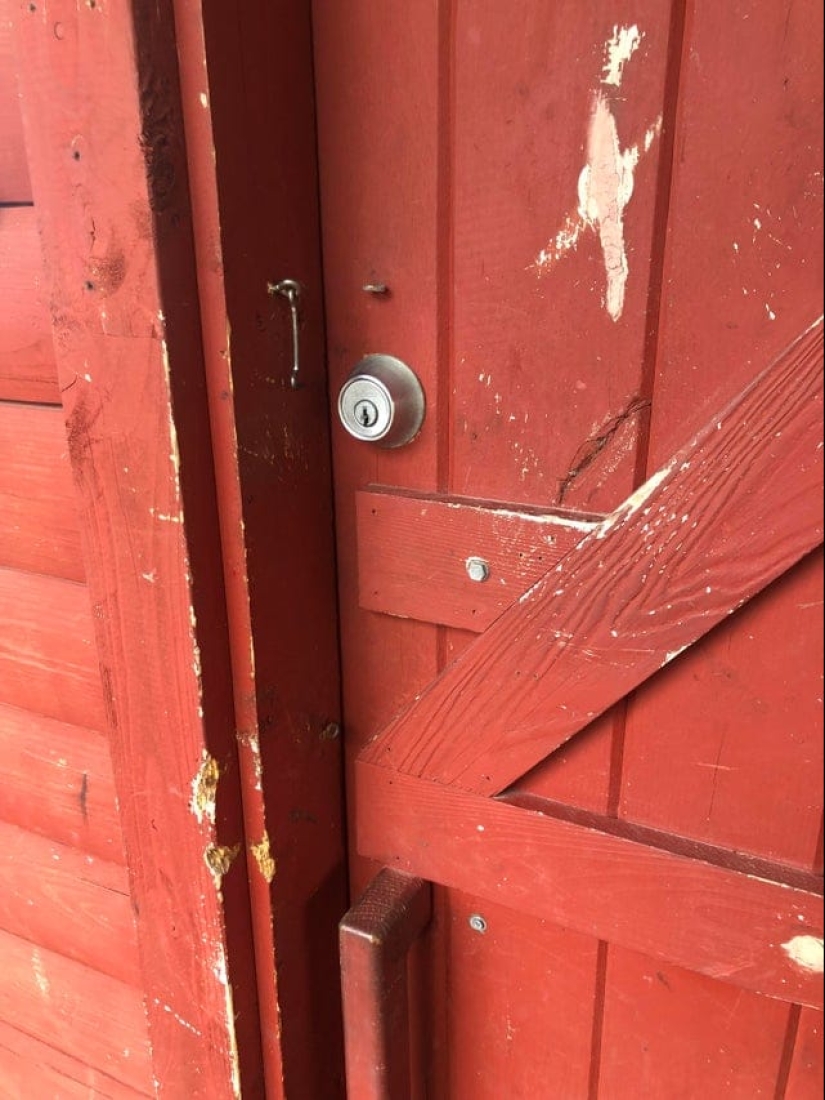 "What is this..?": 22 photos of things that caused people a lot of confusion "What is this..?": 22 photos of things that caused people a lot of confusion