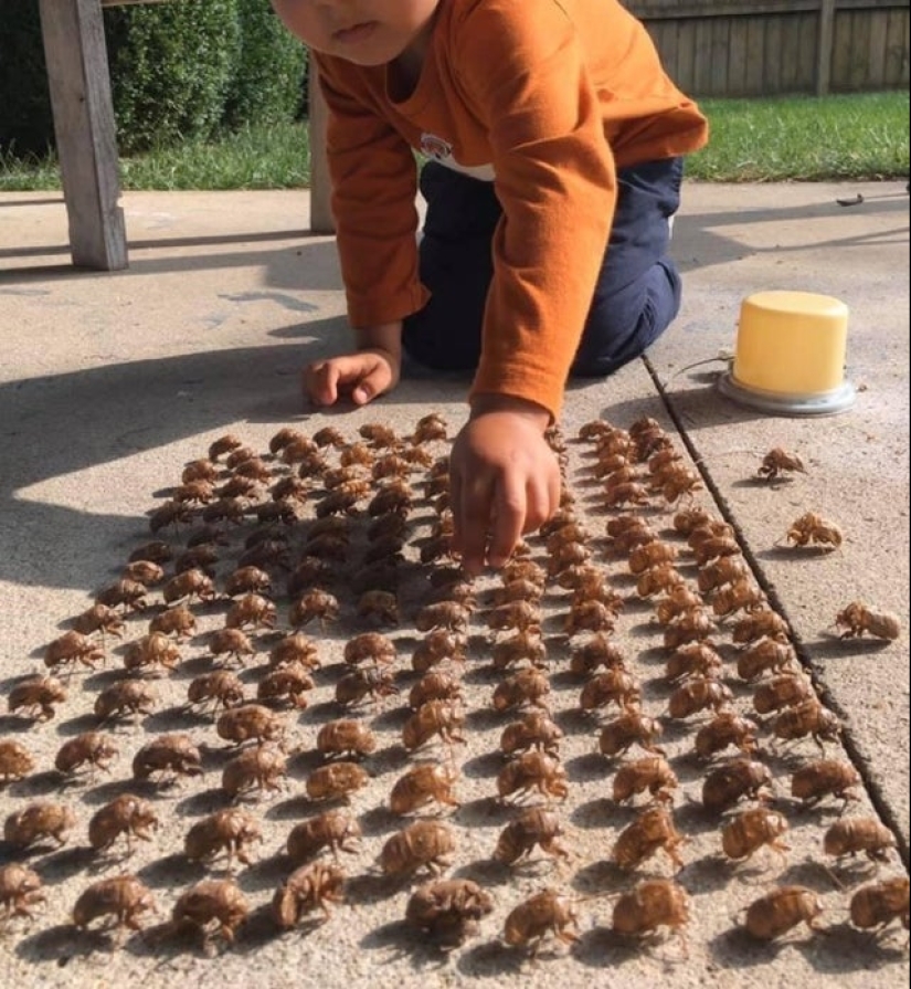 "What is this..?": 22 photos of things that caused people a lot of confusion "What is this..?": 22 photos of things that caused people a lot of confusion