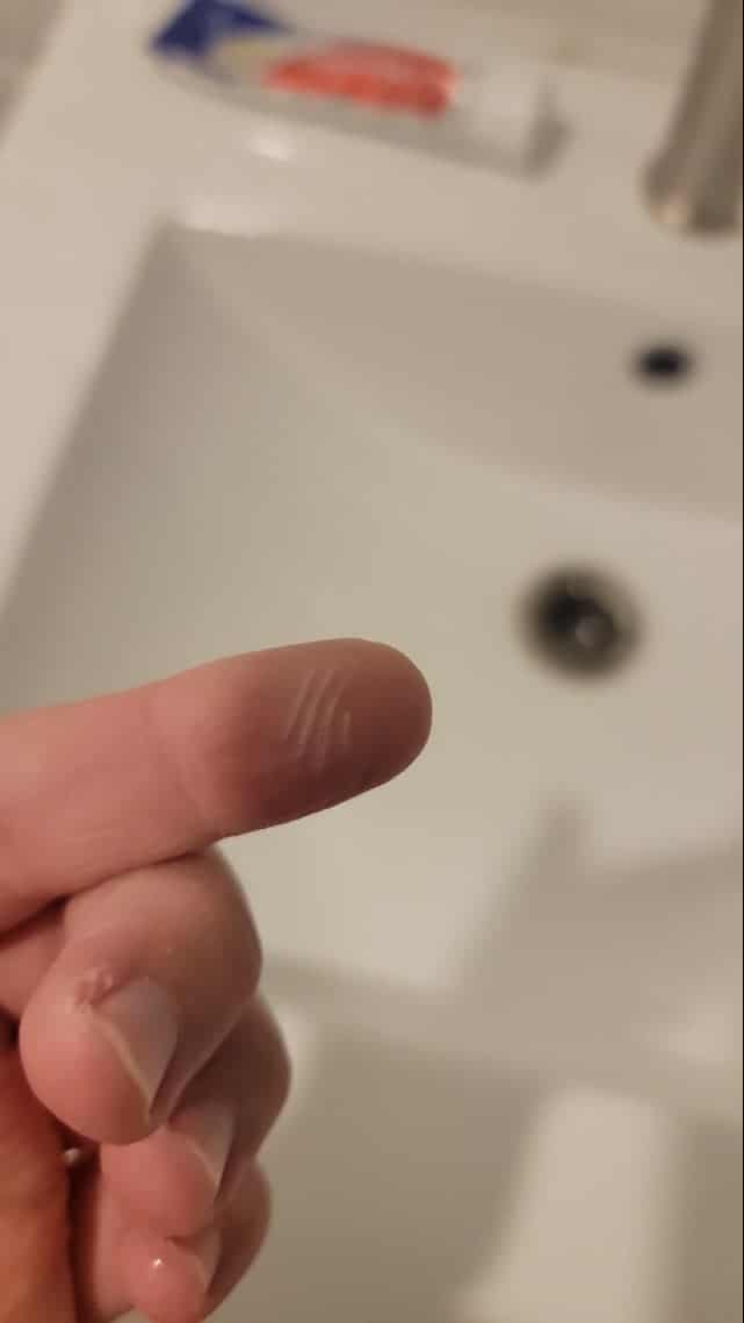 "What is this..?": 22 photos of things that caused people a lot of confusion "What is this..?": 22 photos of things that caused people a lot of confusion