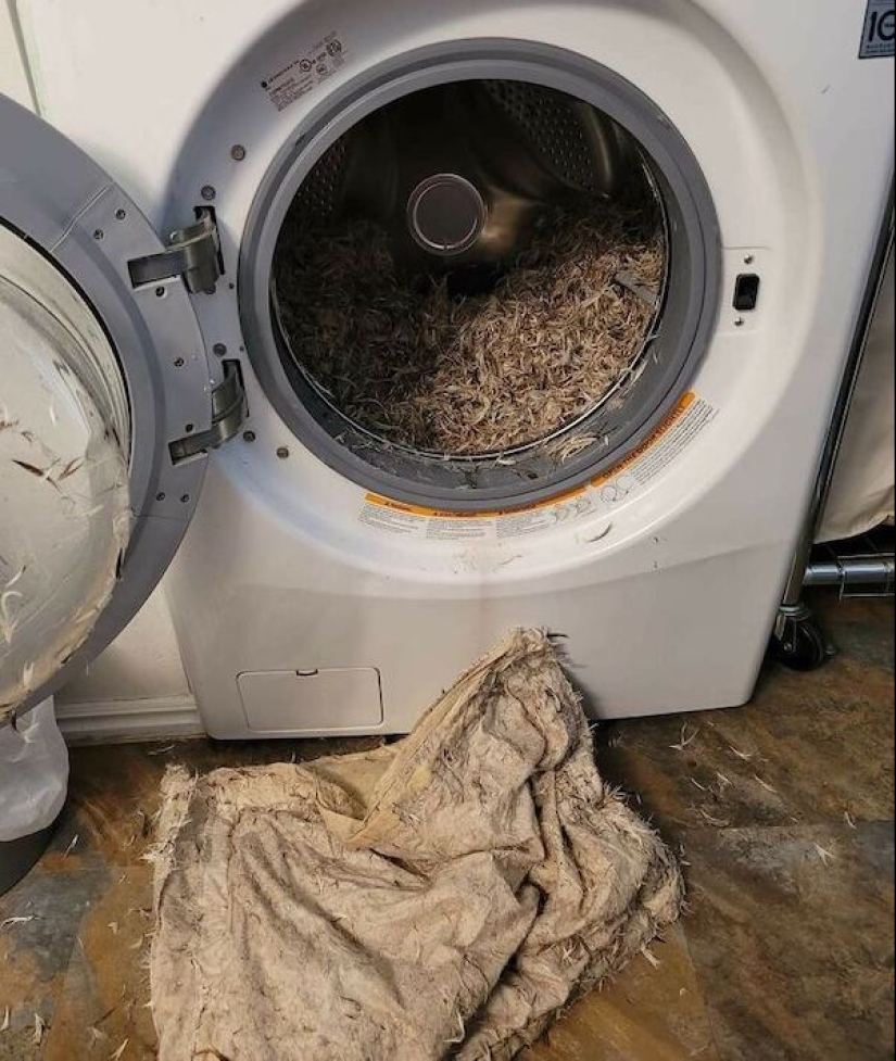 What is "unlucky": 22 photos of people who had a very difficult day