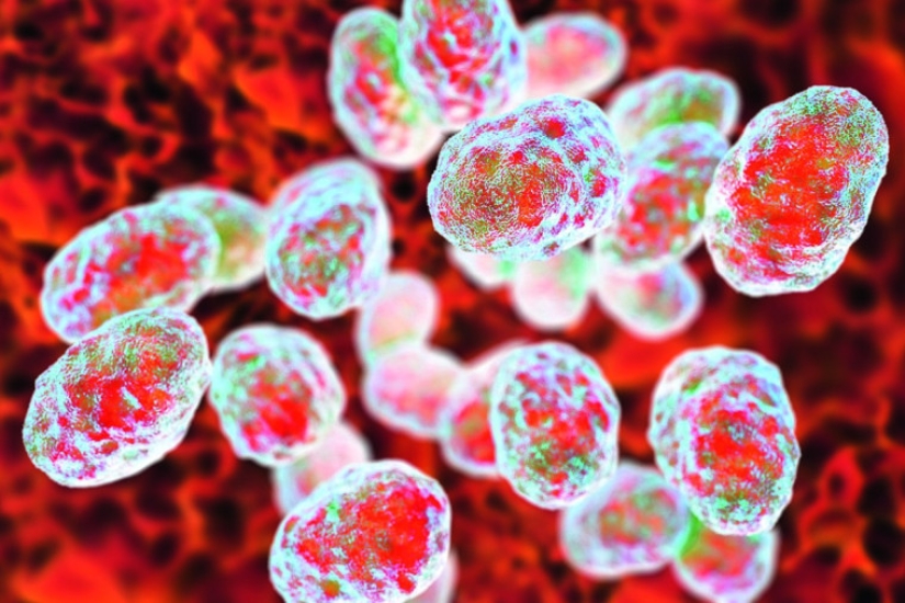 What kind of disease is tularemia and why is it called the “minor plague” What kind of disease is tularemia and why is it called the “minor plague”