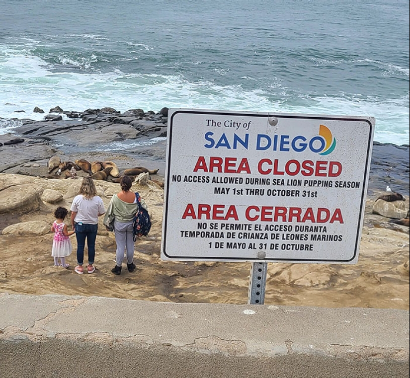 “What Rules? I’m Special”: 10 Pics Of Entitled Tourists To Make Your Blood Boil “What Rules? I’m Special”: 10 Pics Of Entitled Tourists To Make Your Blood Boil