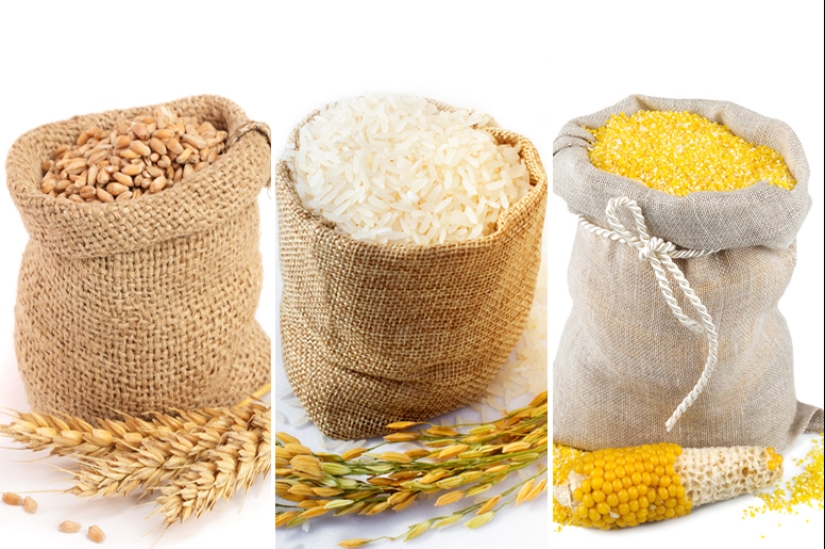 Wheat, wormwood and other plants that changed history