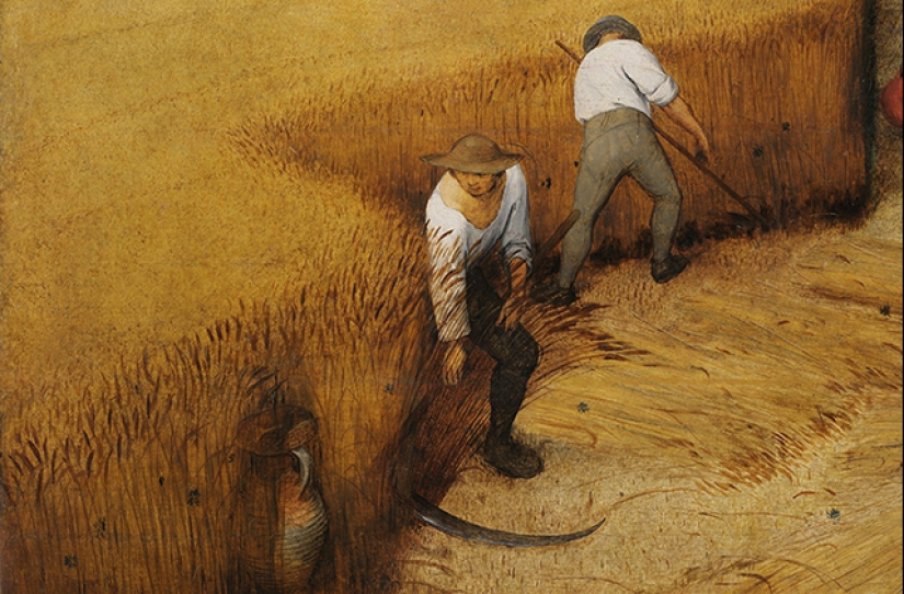 Wheat, wormwood and other plants that changed history
