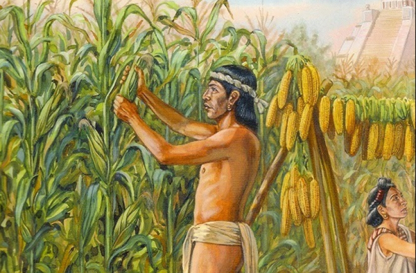 Wheat, wormwood and other plants that changed history