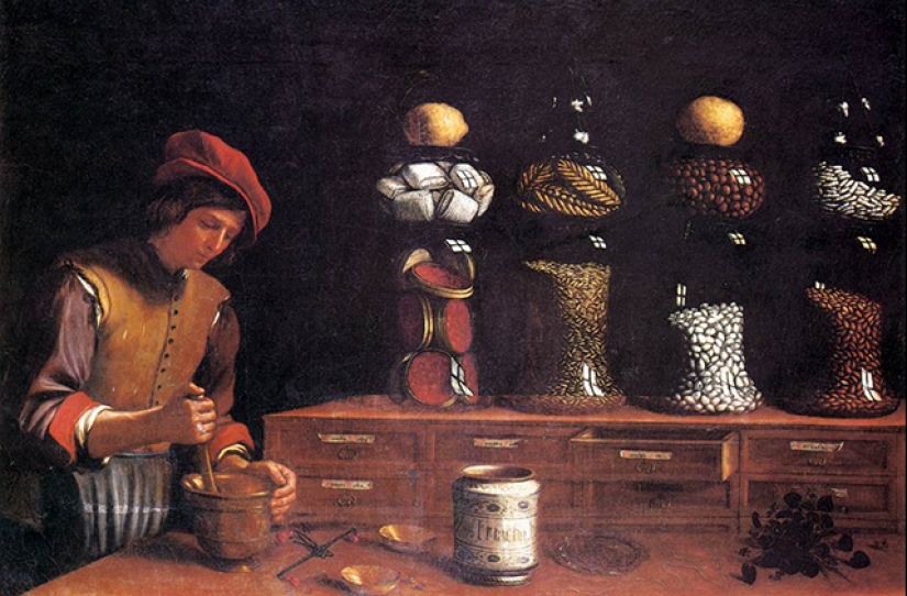 Wheat, wormwood and other plants that changed history