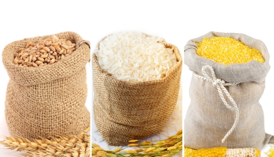 Wheat, wormwood and other plants that changed history Wheat, wormwood and other plants that changed history