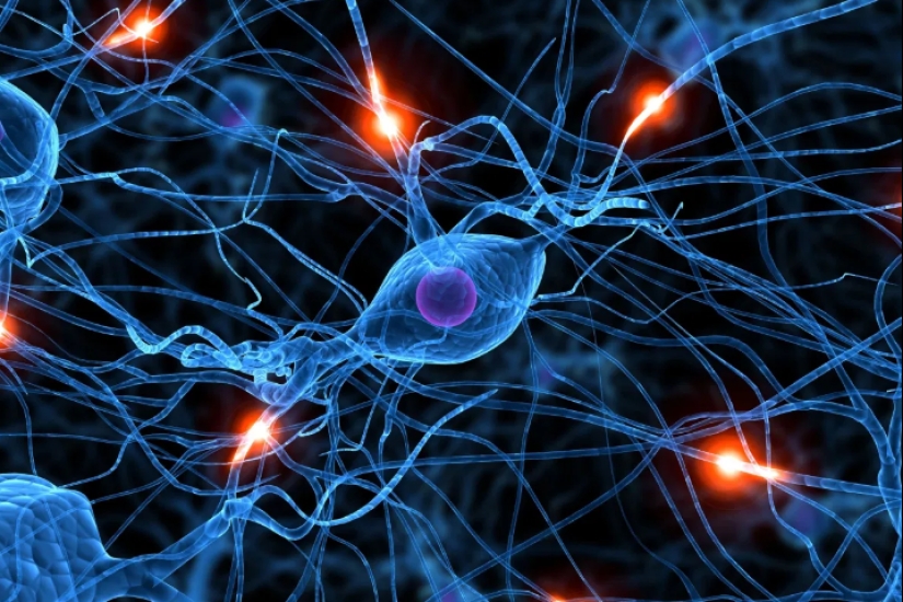 Why does time flow faster for the elderly? Scientists answer Why does time flow faster for the elderly? Scientists answer