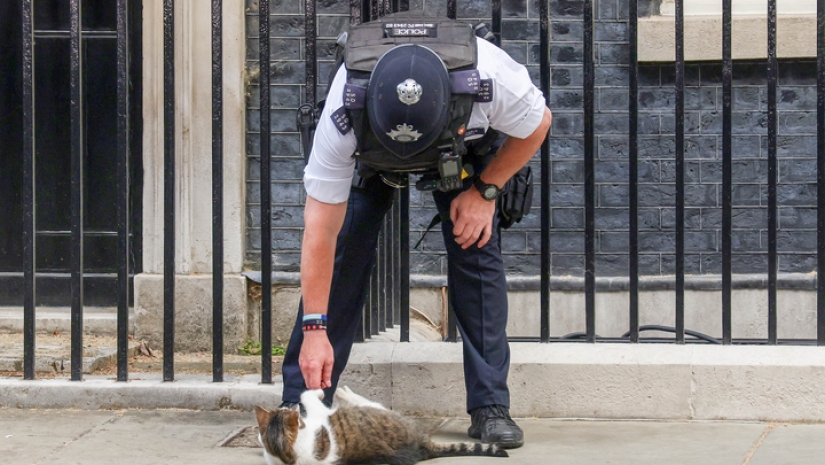 Why police officers in the UK don't carry guns Why police officers in the UK don't carry guns