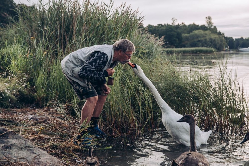 Why the Finns pull to have a pet moose