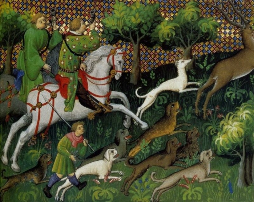 Why used to hunt on horseback in the forests, but today it is difficult to walk even on foot Why used to hunt on horseback in the forests, but today it is difficult to walk even on foot