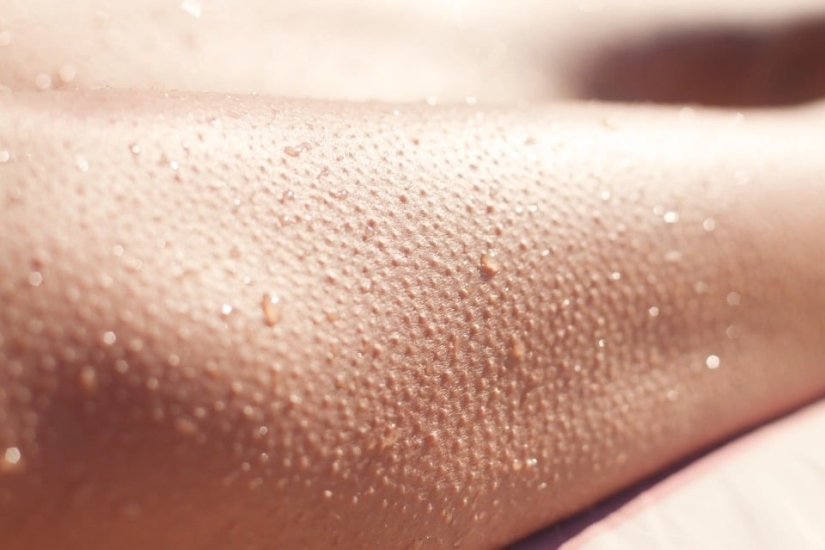 Winter, cold, cracked lip: 8 tips for skin care in the cold season Winter, cold, cracked lip: 8 tips for skin care in the cold season
