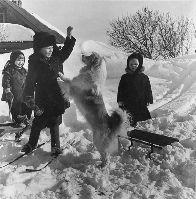 Winter in Soviet retro photos Winter in Soviet retro photos