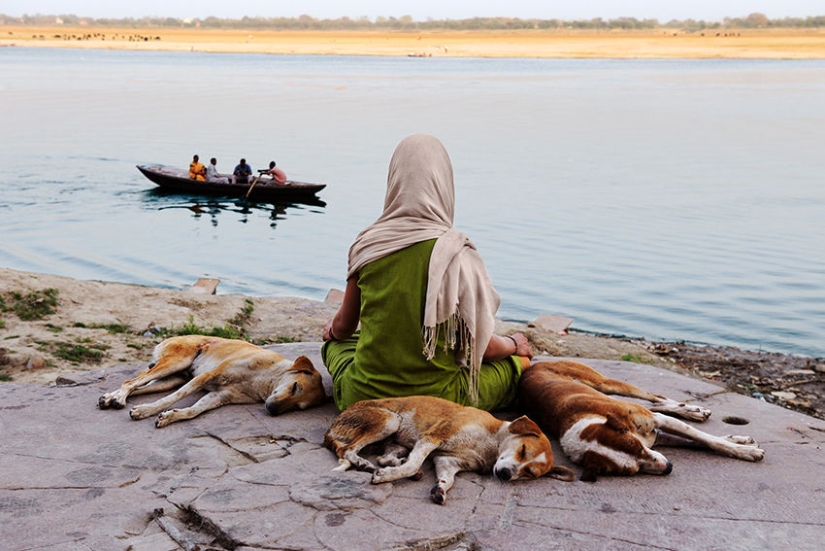 You and I are of the same blood: 35 incredible photos of people and animals from Steve McCurry You and I are of the same blood: 35 incredible photos of people and animals from Steve McCurry