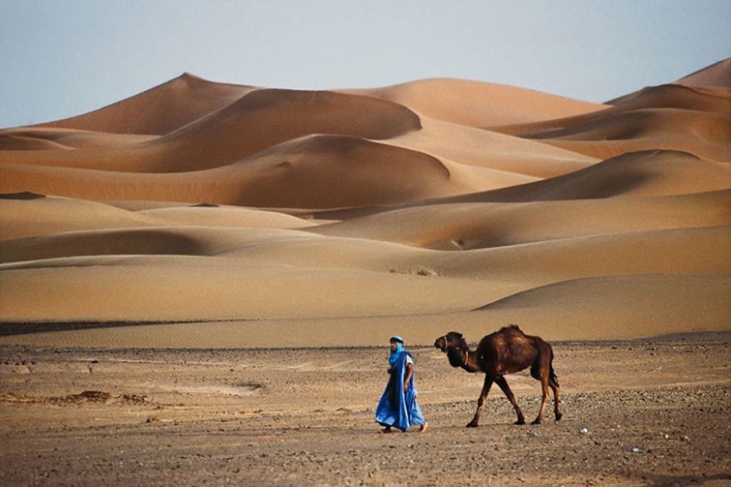 You and I are of the same blood: 35 incredible photos of people and animals from Steve McCurry You and I are of the same blood: 35 incredible photos of people and animals from Steve McCurry
