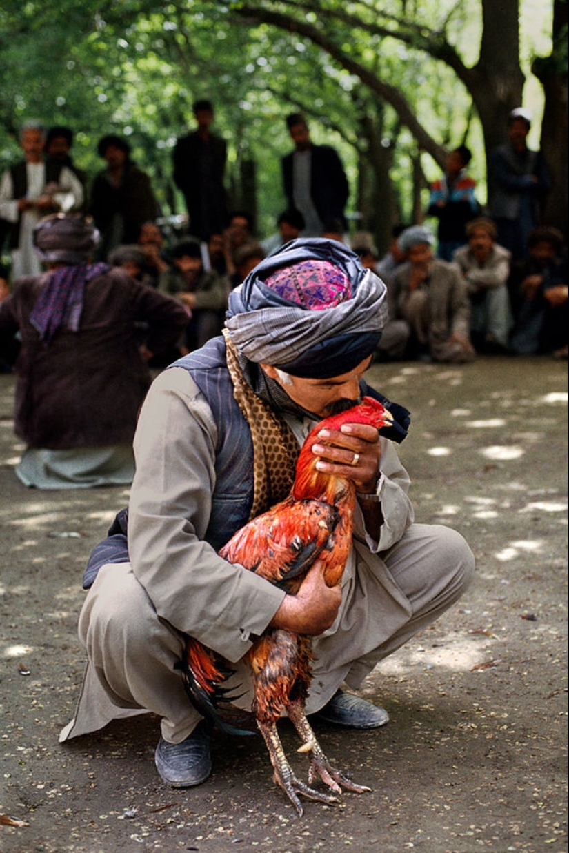 You and I are of the same blood: 35 incredible photos of people and animals from Steve McCurry You and I are of the same blood: 35 incredible photos of people and animals from Steve McCurry