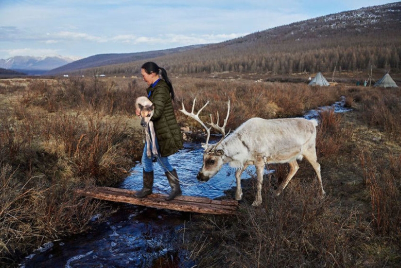 You and I are of the same blood: 35 incredible photos of people and animals from Steve McCurry You and I are of the same blood: 35 incredible photos of people and animals from Steve McCurry
