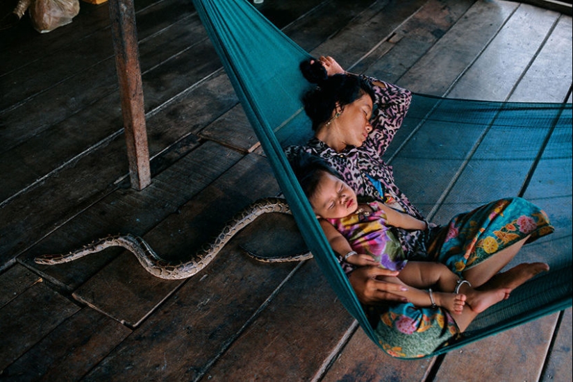 You and I are of the same blood: 35 incredible photos of people and animals from Steve McCurry You and I are of the same blood: 35 incredible photos of people and animals from Steve McCurry