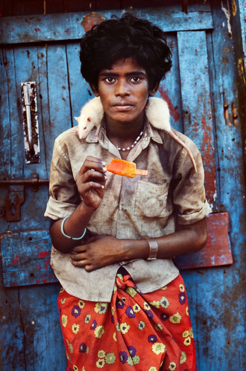 You and I are of the same blood: 35 incredible photos of people and animals from Steve McCurry You and I are of the same blood: 35 incredible photos of people and animals from Steve McCurry