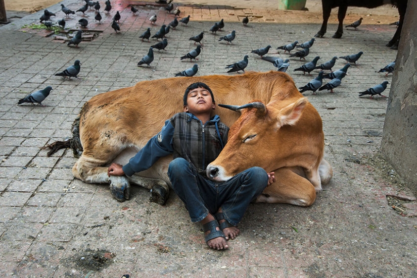 You and I are of the same blood: 35 incredible photos of people and animals from Steve McCurry You and I are of the same blood: 35 incredible photos of people and animals from Steve McCurry