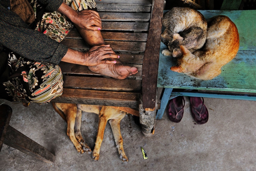 You and I are of the same blood: 35 incredible photos of people and animals from Steve McCurry You and I are of the same blood: 35 incredible photos of people and animals from Steve McCurry