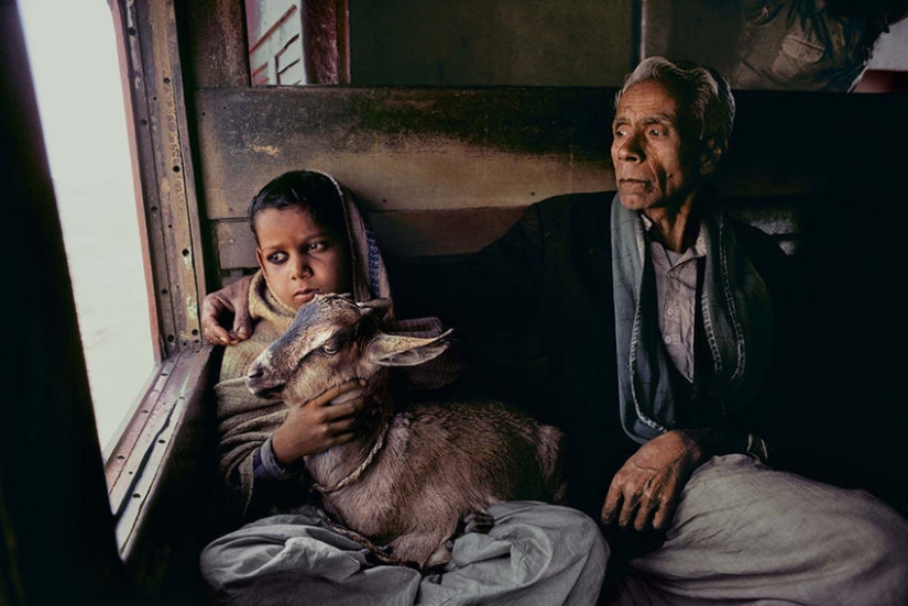 You and I are of the same blood: 35 incredible photos of people and animals from Steve McCurry You and I are of the same blood: 35 incredible photos of people and animals from Steve McCurry