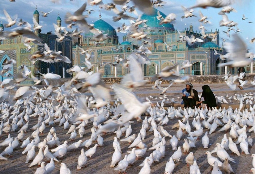 You and I are of the same blood: 35 incredible photos of people and animals from Steve McCurry You and I are of the same blood: 35 incredible photos of people and animals from Steve McCurry