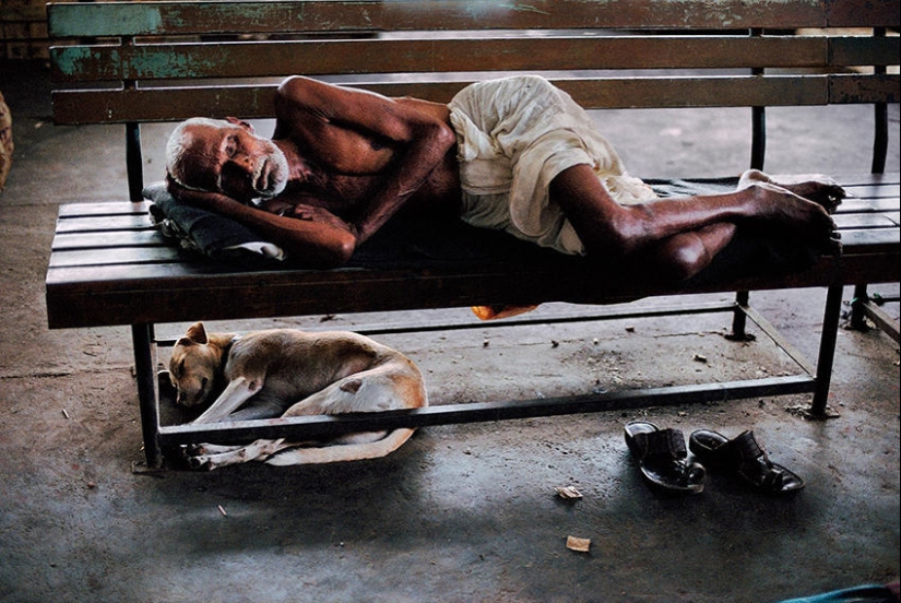 You and I are of the same blood: 35 incredible photos of people and animals from Steve McCurry You and I are of the same blood: 35 incredible photos of people and animals from Steve McCurry
