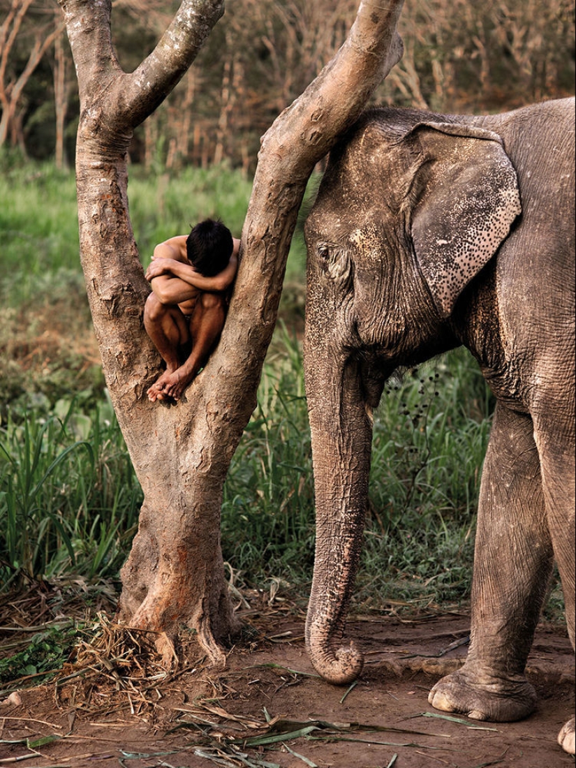 You and I are of the same blood: 35 incredible photos of people and animals from Steve McCurry You and I are of the same blood: 35 incredible photos of people and animals from Steve McCurry